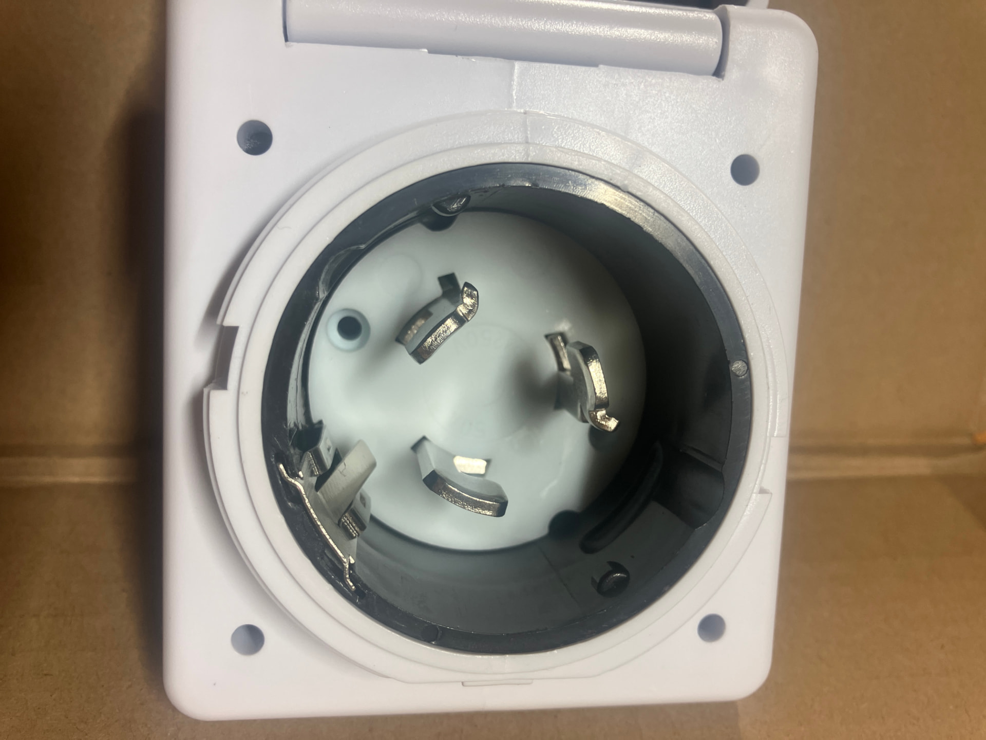 Weatherproof outdoor generator inlet box showing all four twist-lock prongs